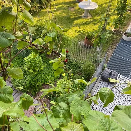 Daire Holidayhome Omyxl *